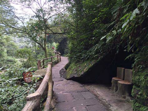 Bifengxia Forest Park: Een Oase van Groen en Kletterende Apen!