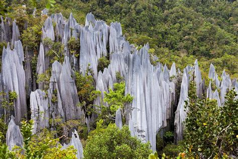  De Gunung Mulu Nationale Park: Een ondergronds avontuur met eeuwenoude kalksteengrotten!